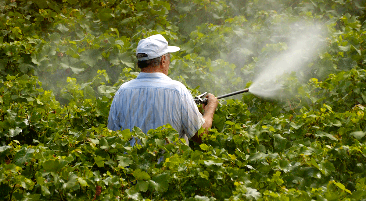 The First Glyphosate Cancer Lawsuit Trial Begins This Week